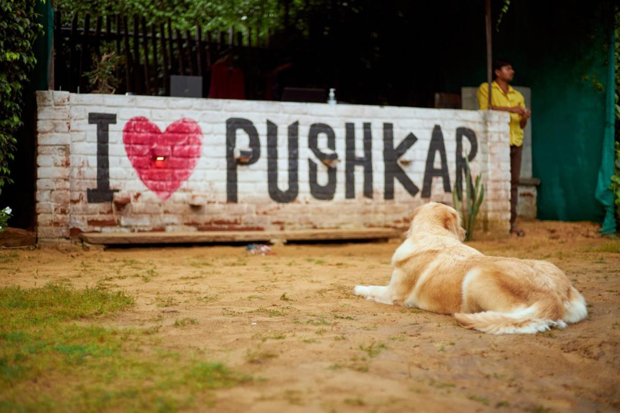 The Hostel Air Pushkar Buitenkant foto